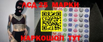 прущие грибы Кимры