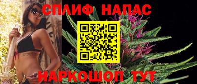 кокс Кингисепп