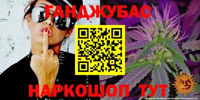 кокс Кингисепп