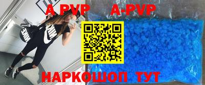 кокс Кингисепп